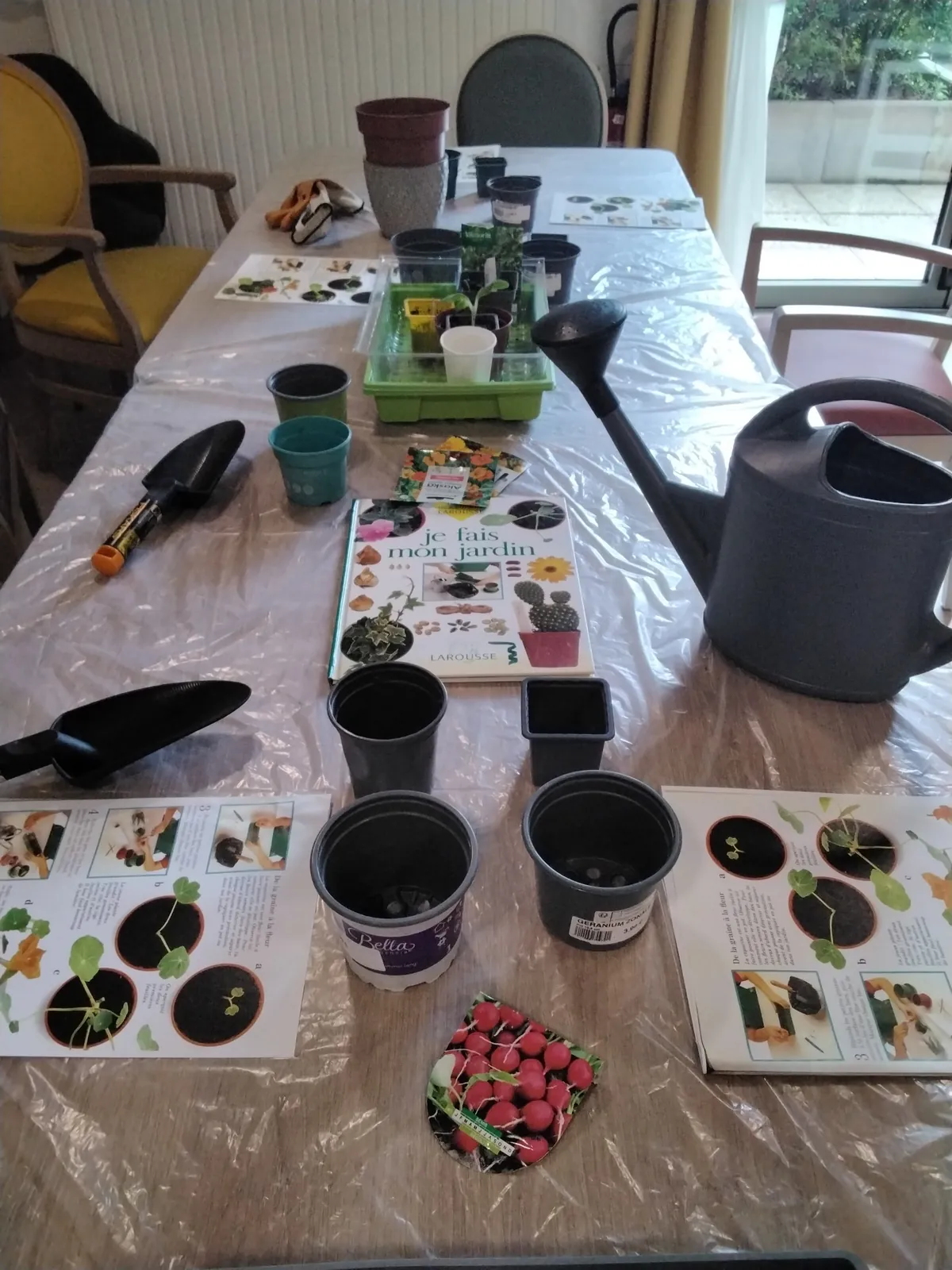 Des graines de jardinier ! 