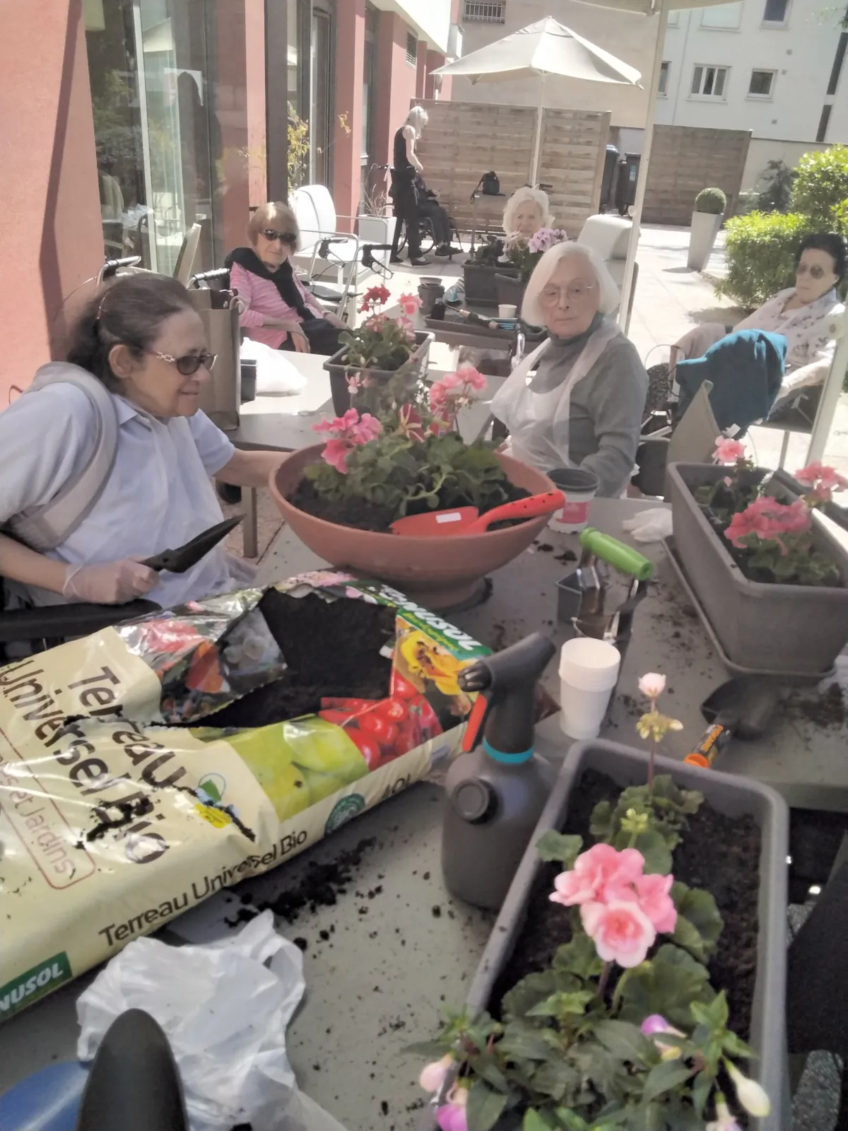 Des graines de jardinier ! 