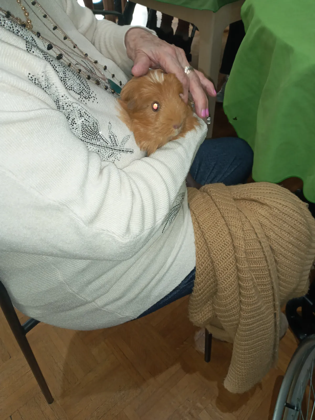 MEDIATION ANIMALE MARDI 16 DECEMBRE  2025