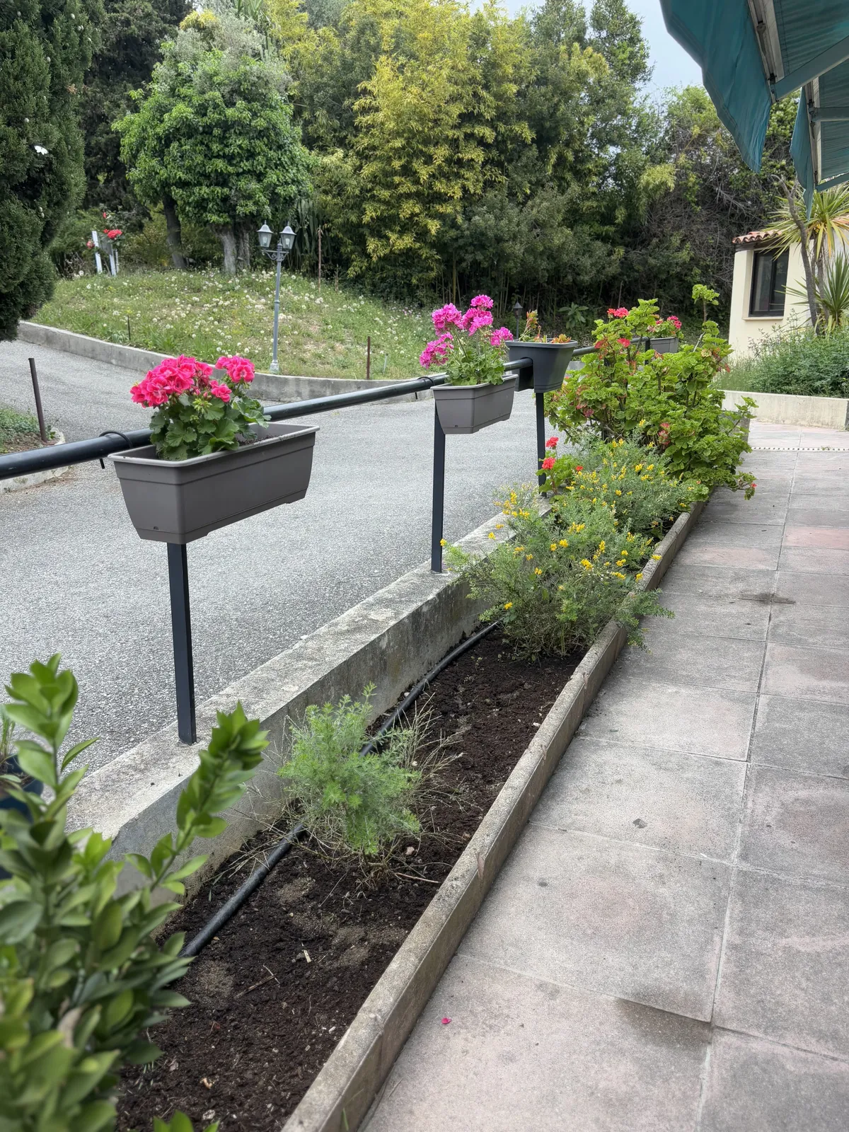 Jardinage et renouveau sur notre belle terrasse !