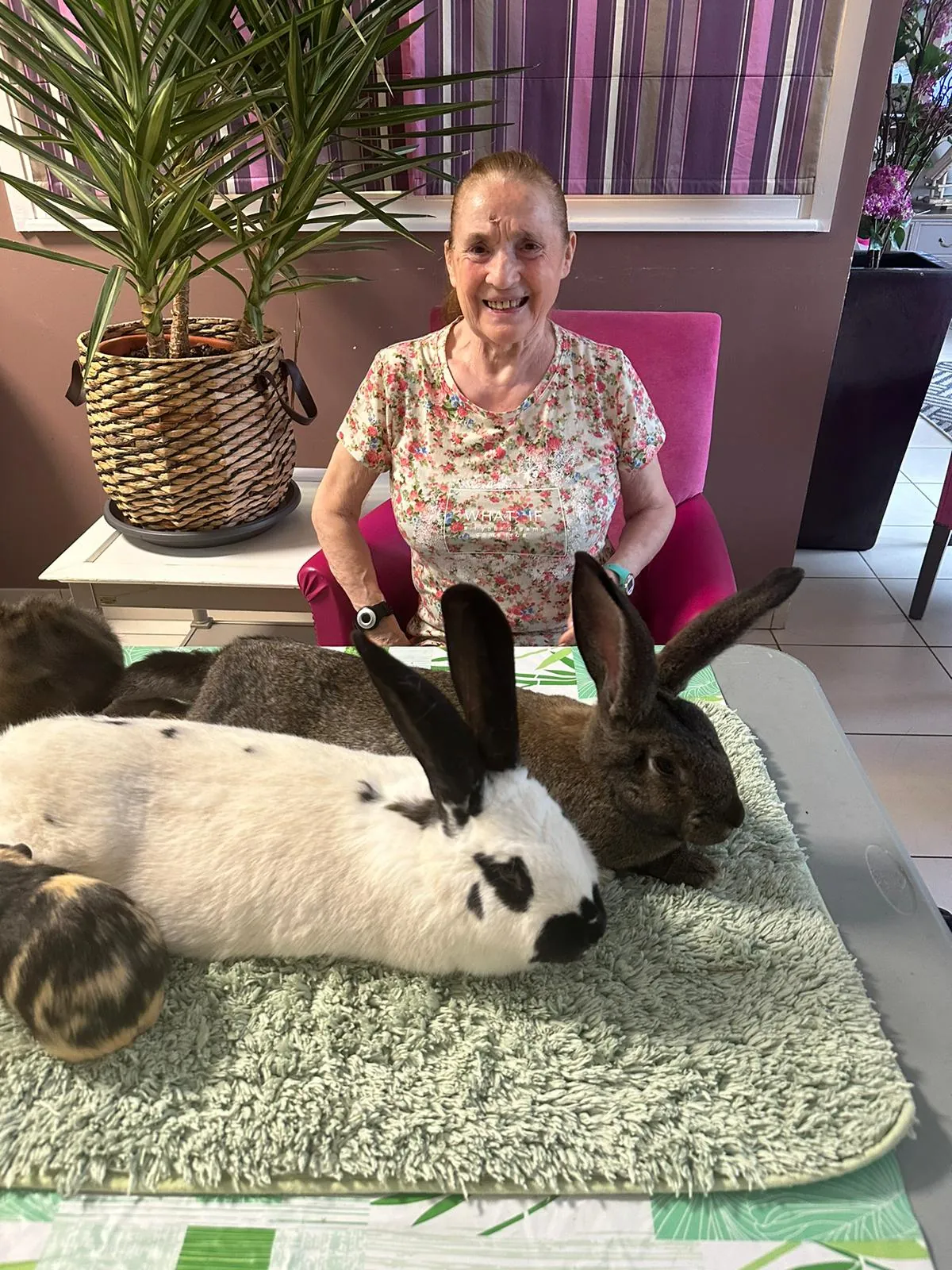 La médiation animale avec Ludivine 