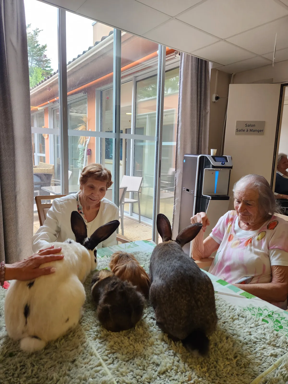 La médiation animale avec Ludivine 