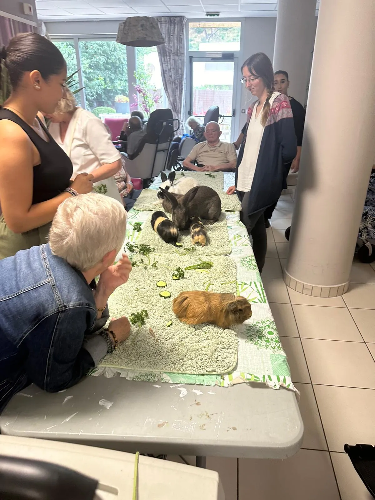 La médiation animale avec Ludivine 