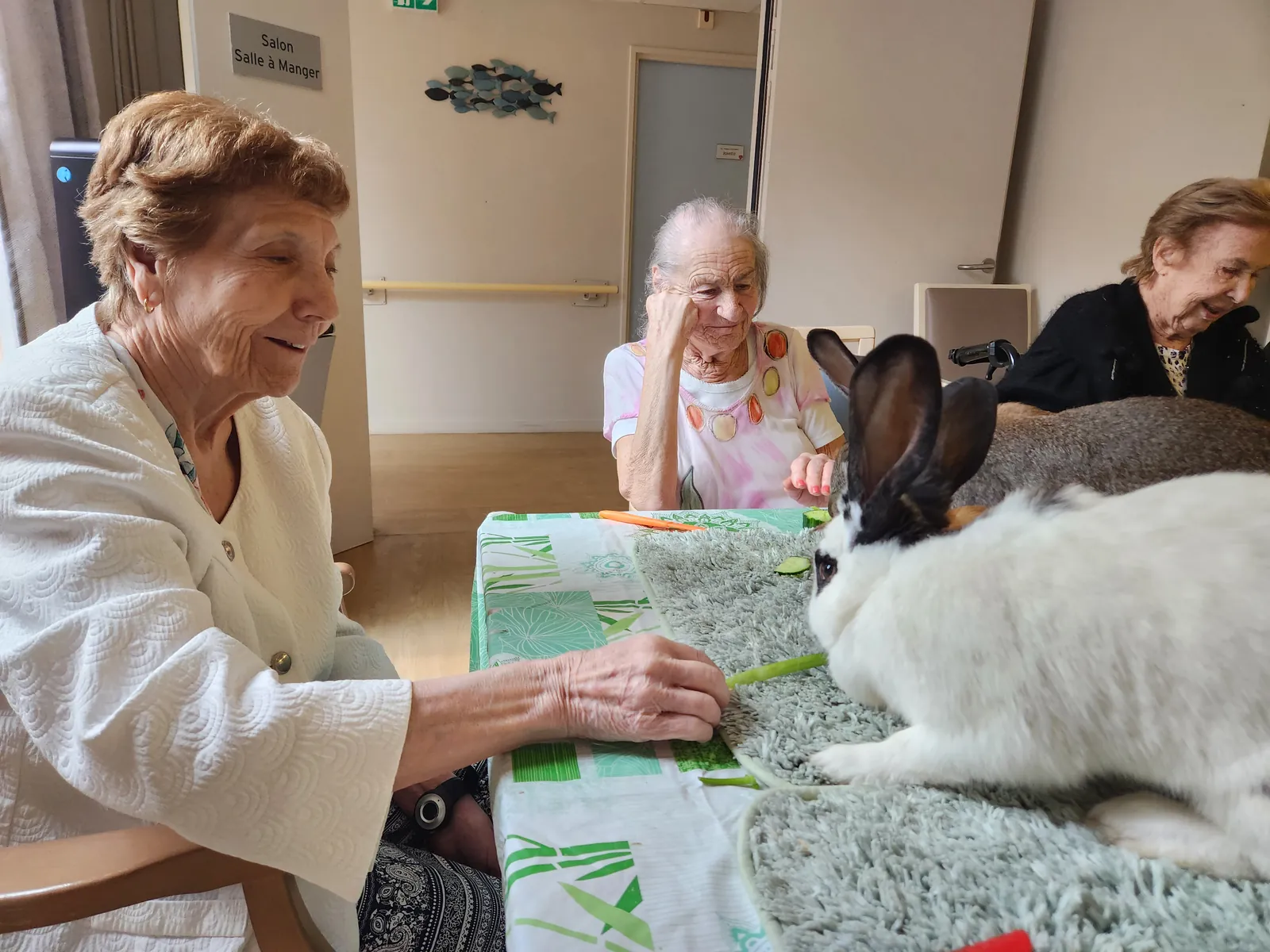 La médiation animale avec Ludivine 