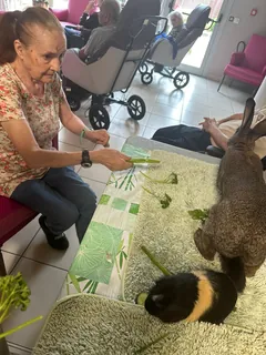 La médiation animale avec Ludivine 