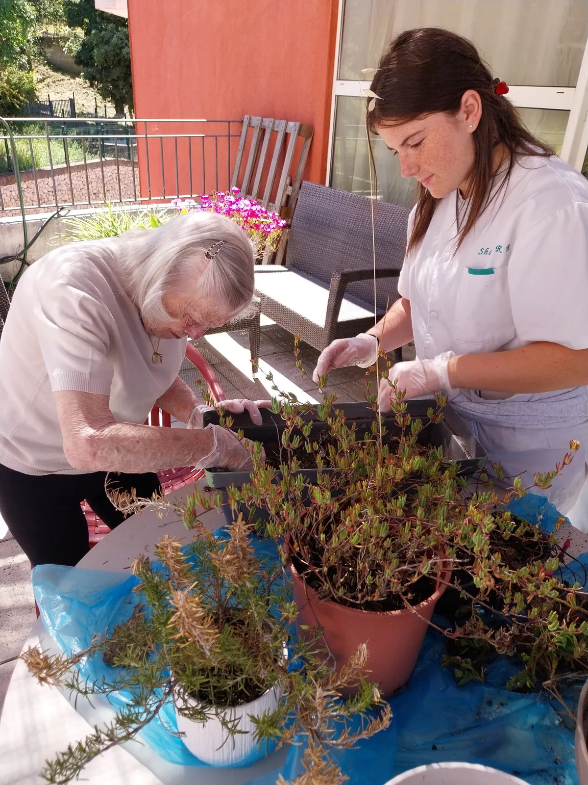 ATELIER PLANTATIONS 