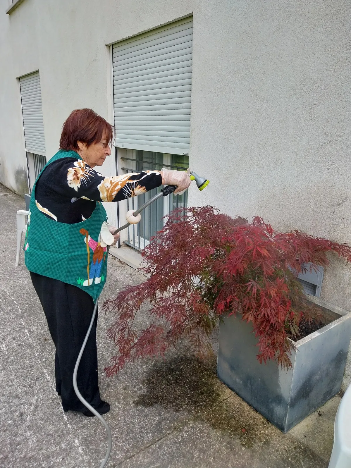 ATELIER PLANTATIONS 
