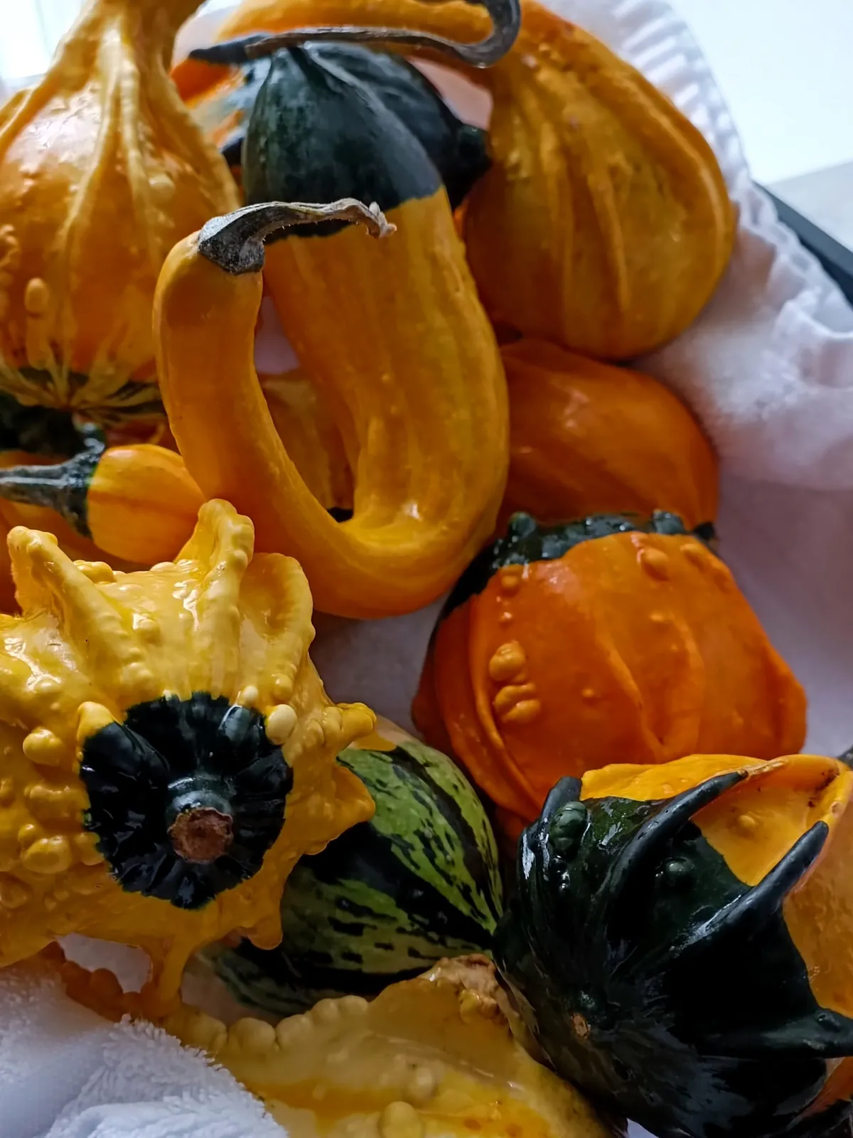 Lundi, c'est atelier de citrouilles fleuries !