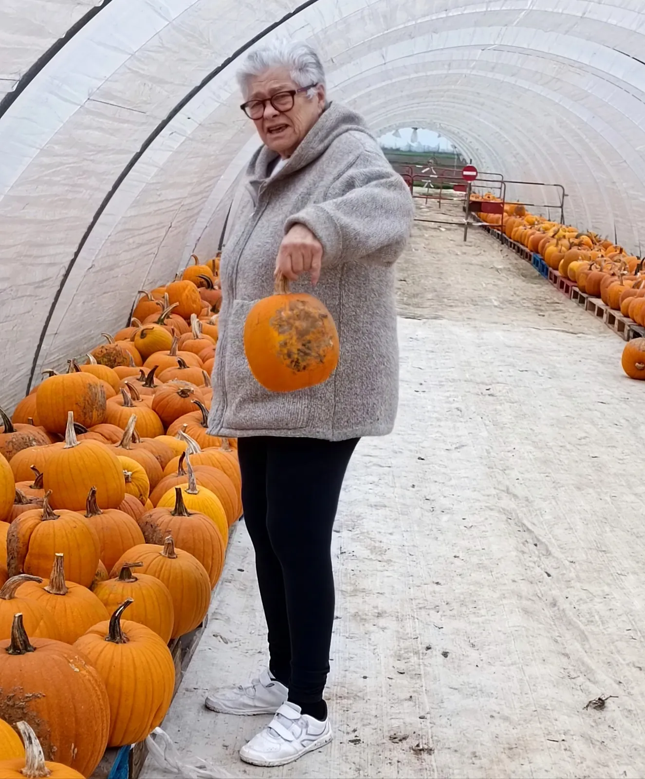 Lundi, c'est atelier de citrouilles fleuries !