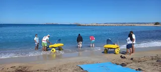LES PIEDS DANS L'EAU