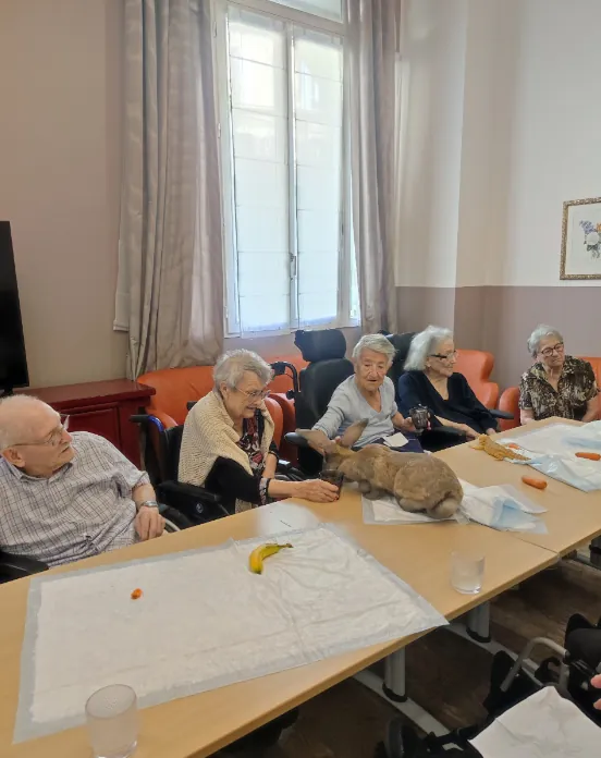 Atelier de Zoothérapie au poil !