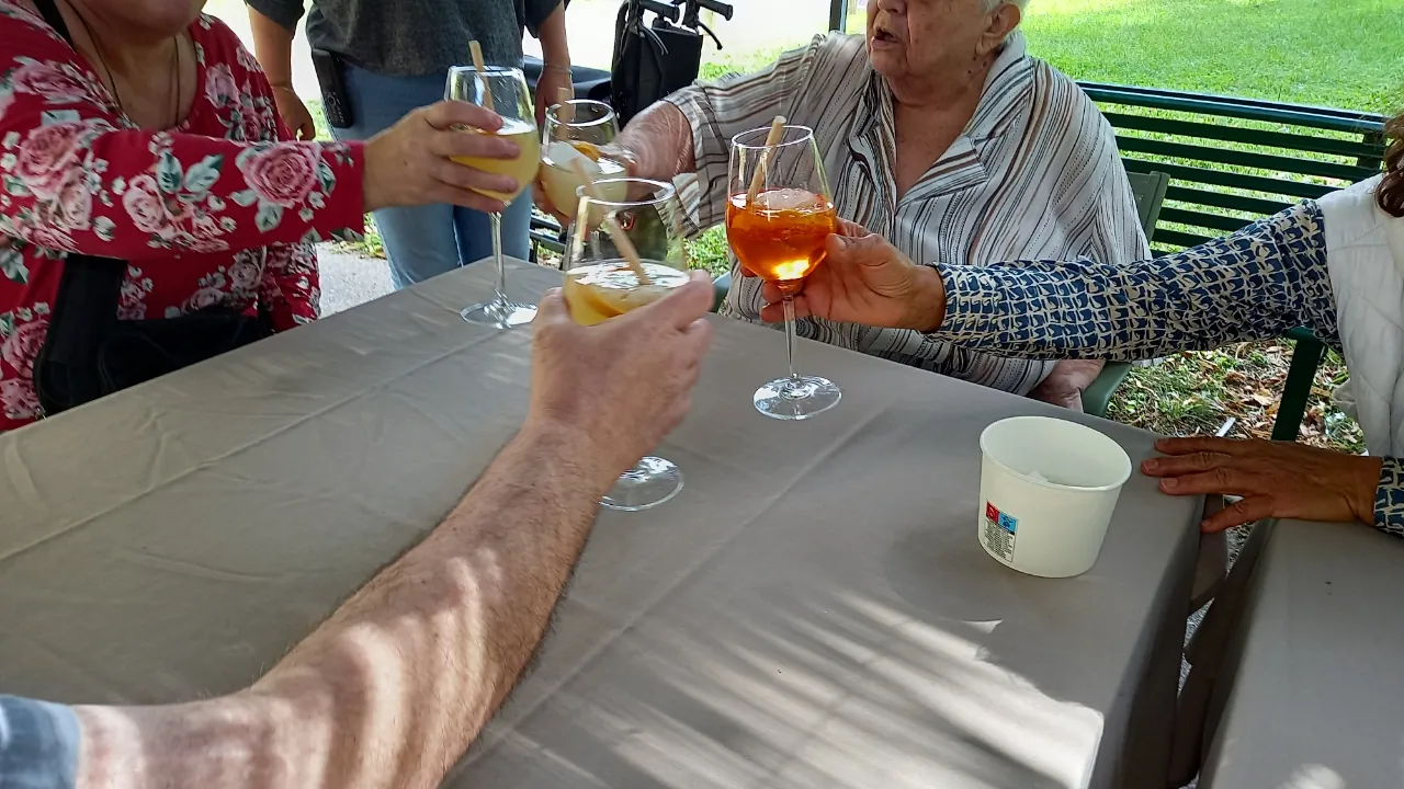 VOEUX DE NOUVELLE ANNEE 