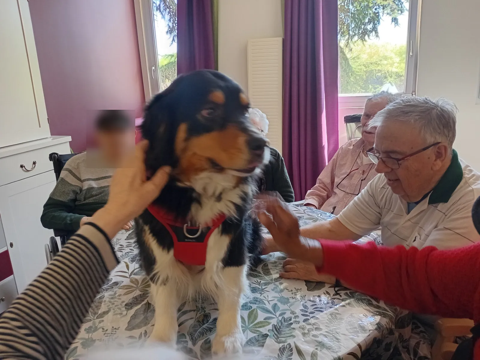 Une belle semaine d’animations et de rencontres