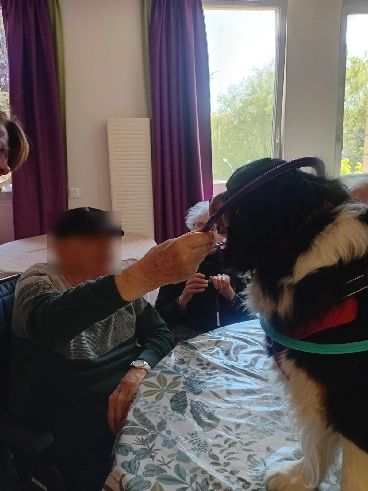 Une belle semaine d’animations et de rencontres