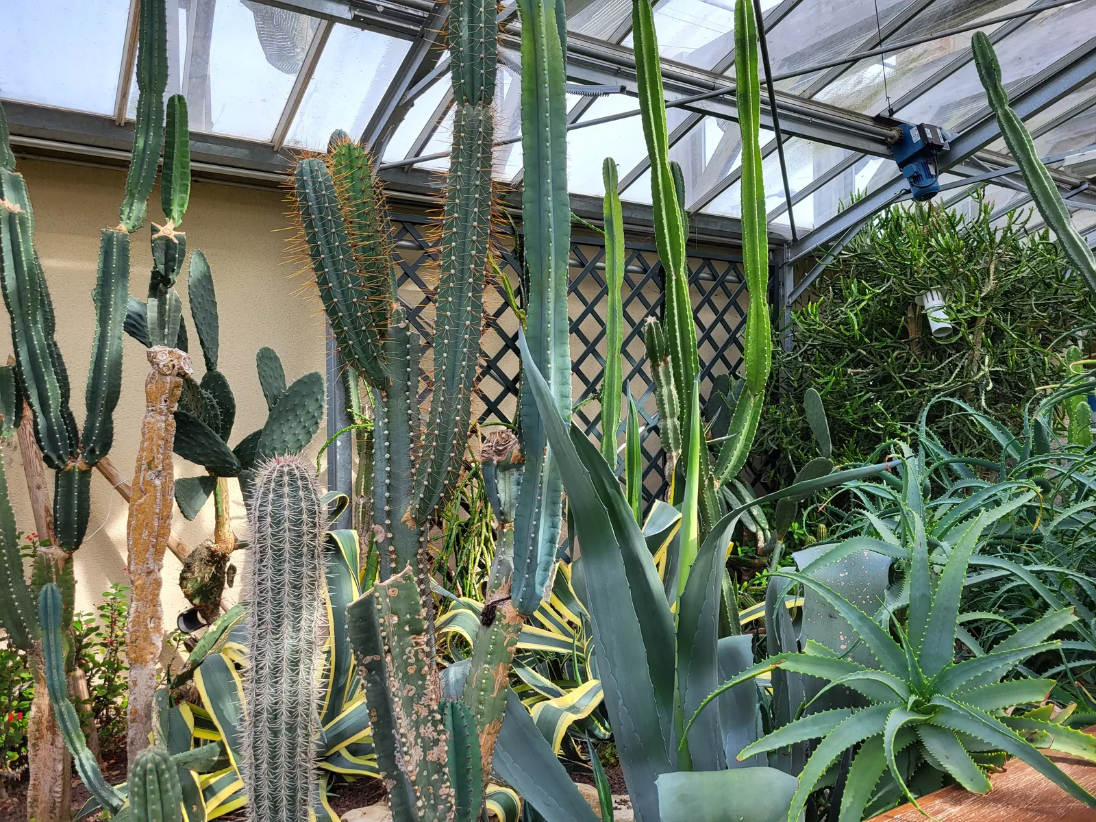 magnifique jardin 