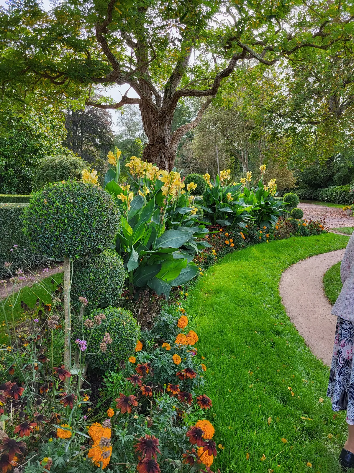 magnifique jardin 