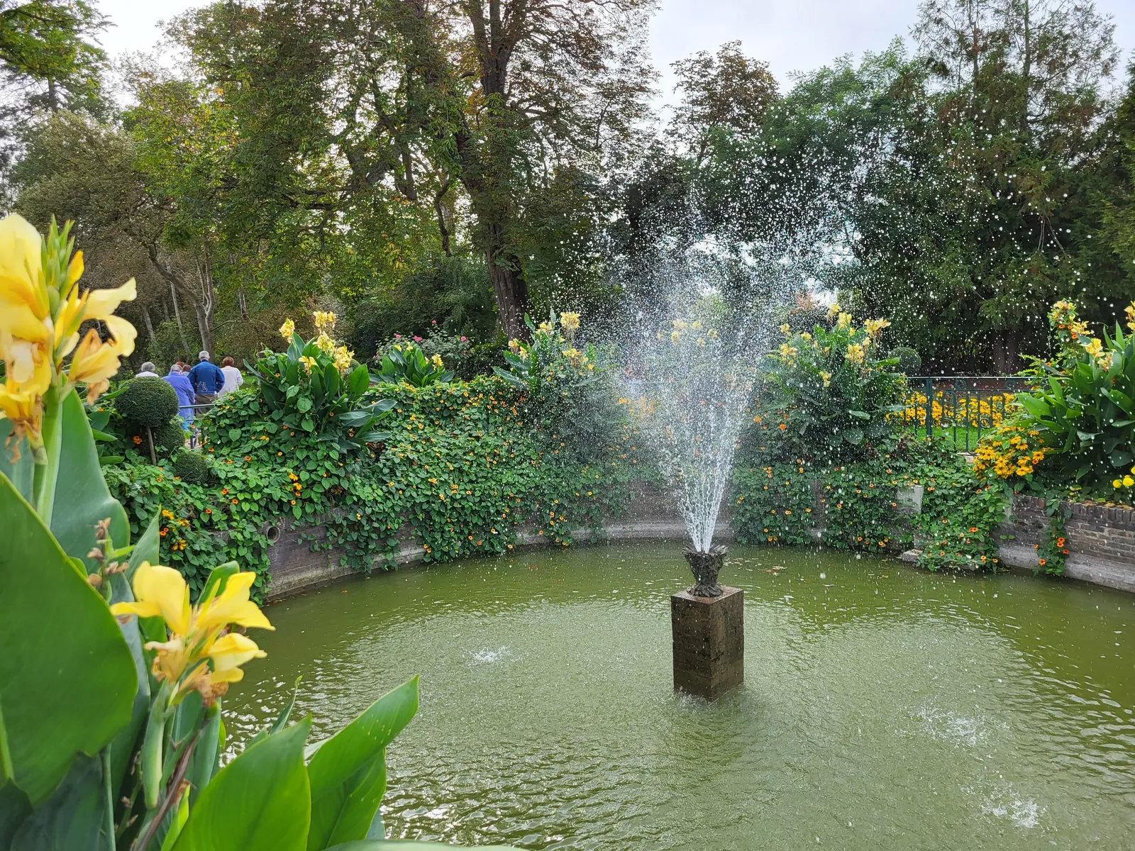 magnifique jardin 