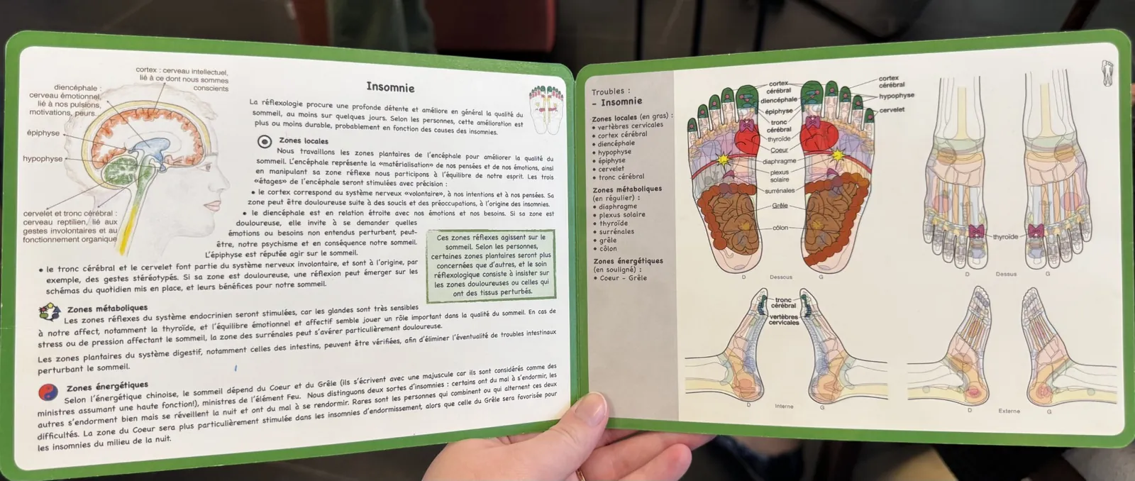 Atelier Réflexologie avec Emma Peynet 