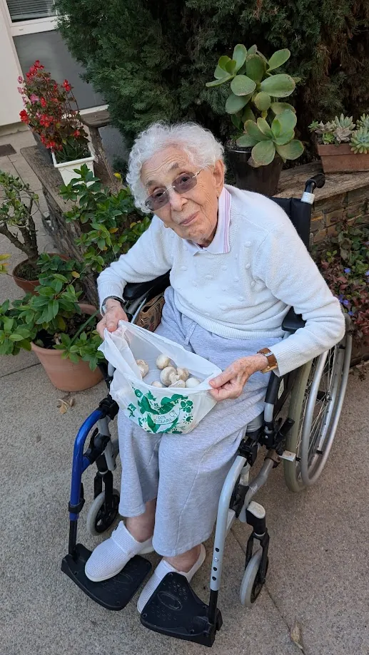 JOUR DE CUEILLETTE  DE CHAMPIGNONS AU GRAND JARDIN 