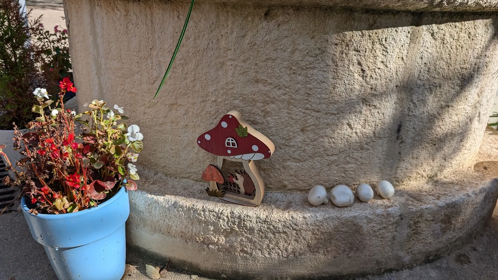 JOUR DE CUEILLETTE  DE CHAMPIGNONS AU GRAND JARDIN 
