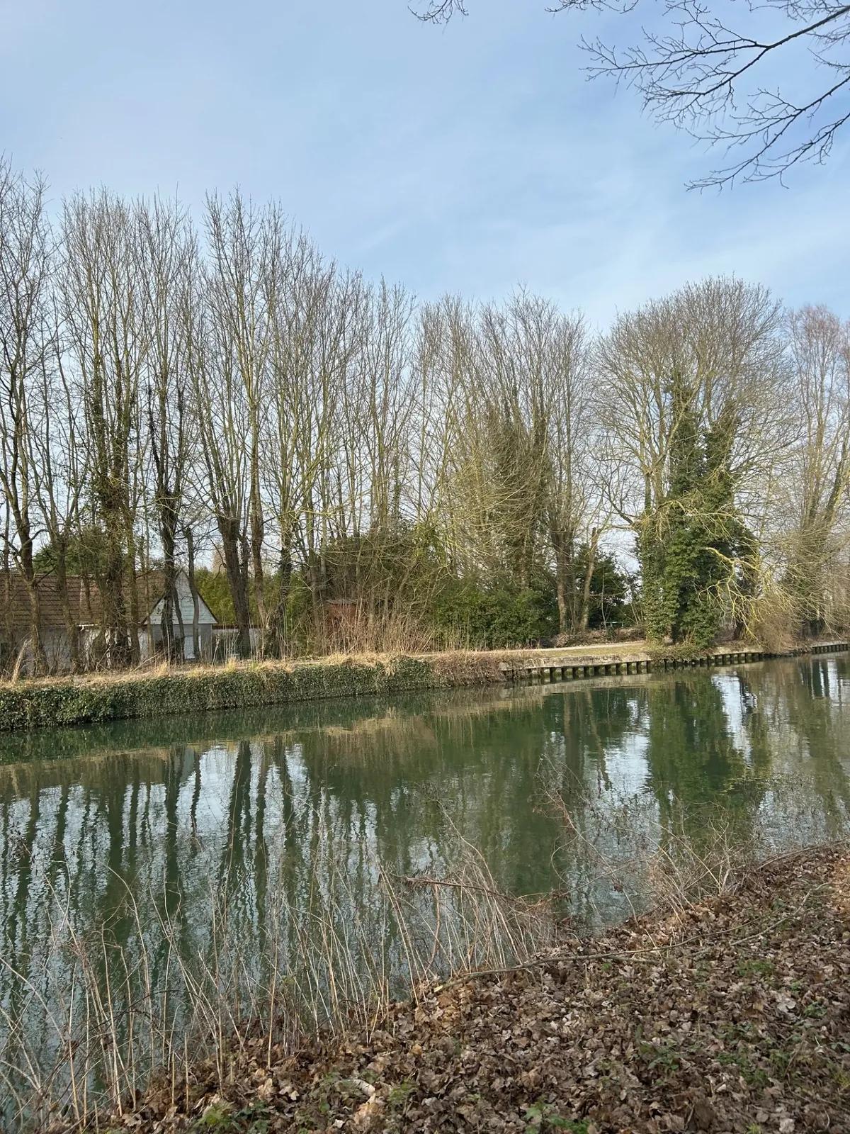 Balade au bord de la Scarpe 
