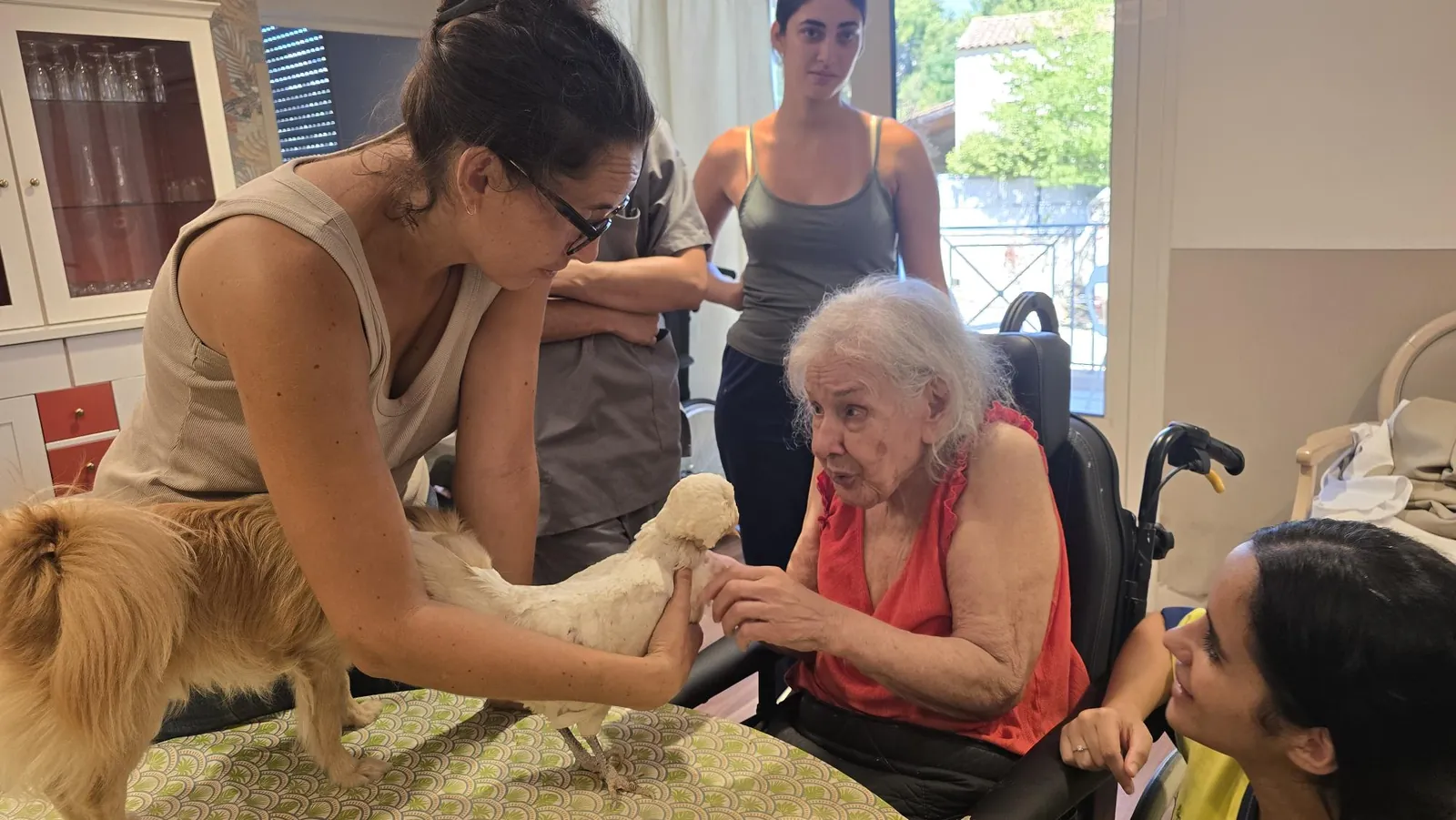 Médicis et ls animaux 