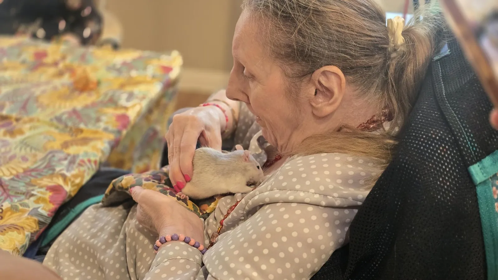 Médicis et ls animaux 