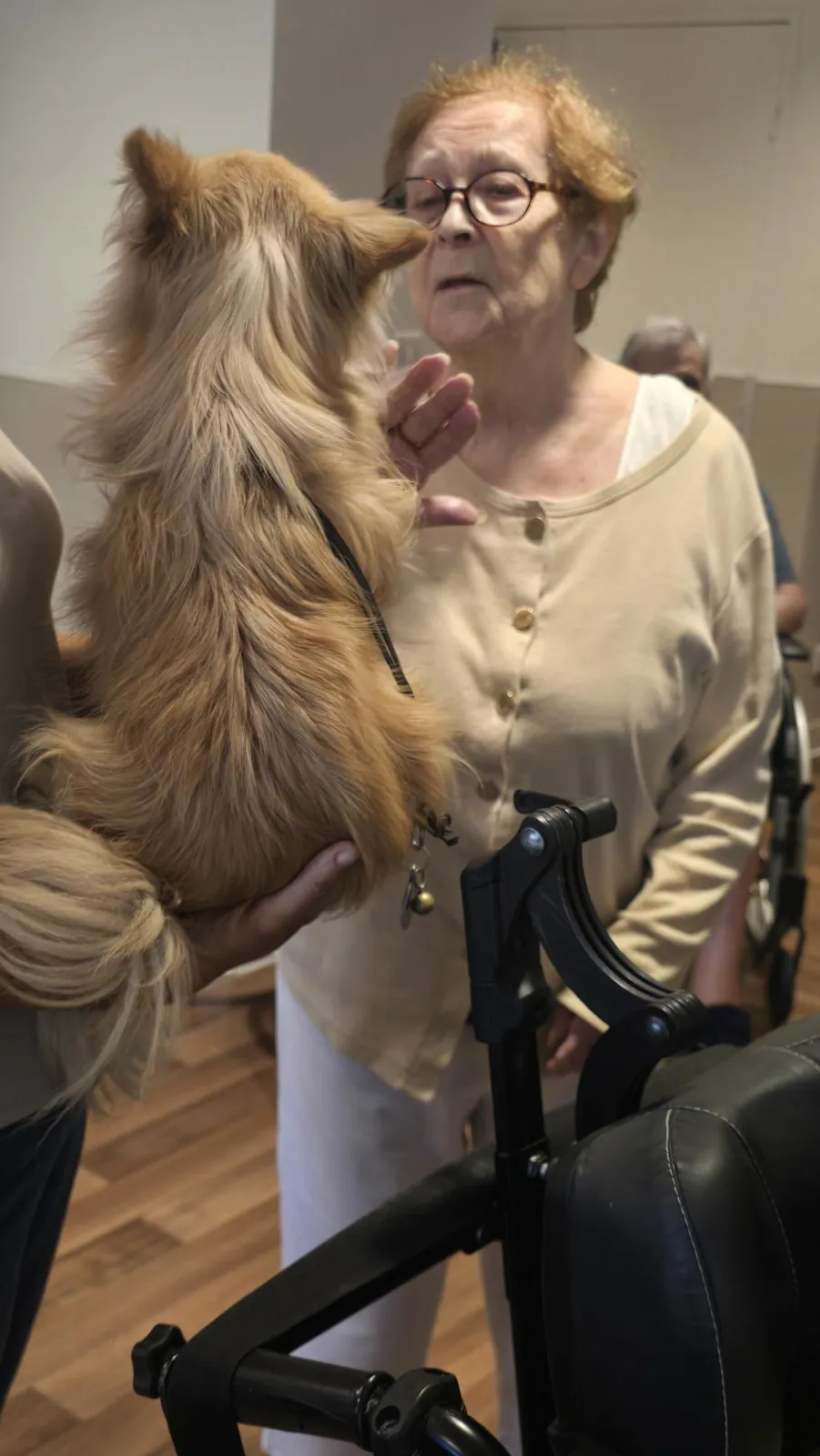 Médicis et ls animaux 