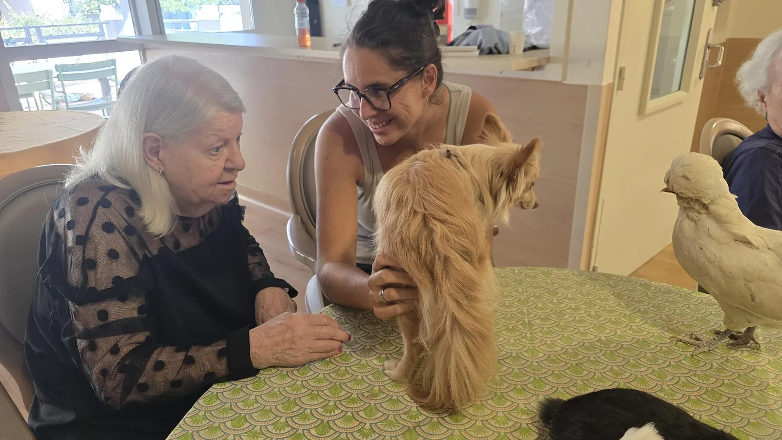 Médicis et ls animaux 