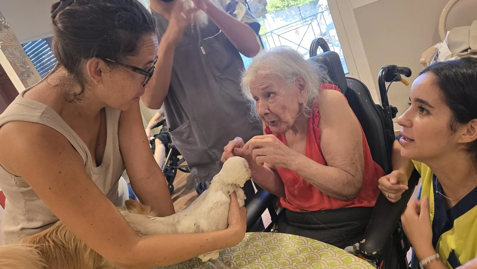 Médicis et ls animaux 