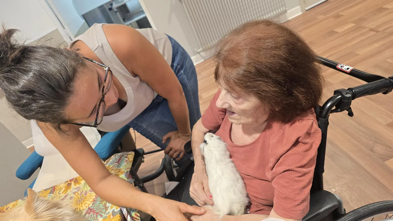 Médicis et ls animaux 