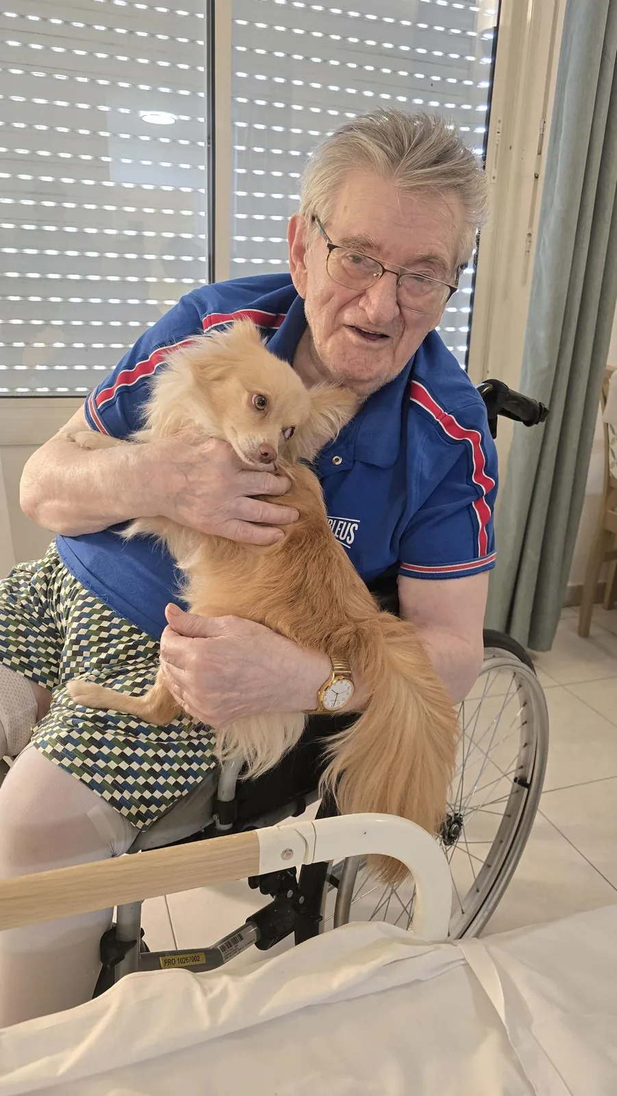 Médicis et ls animaux 