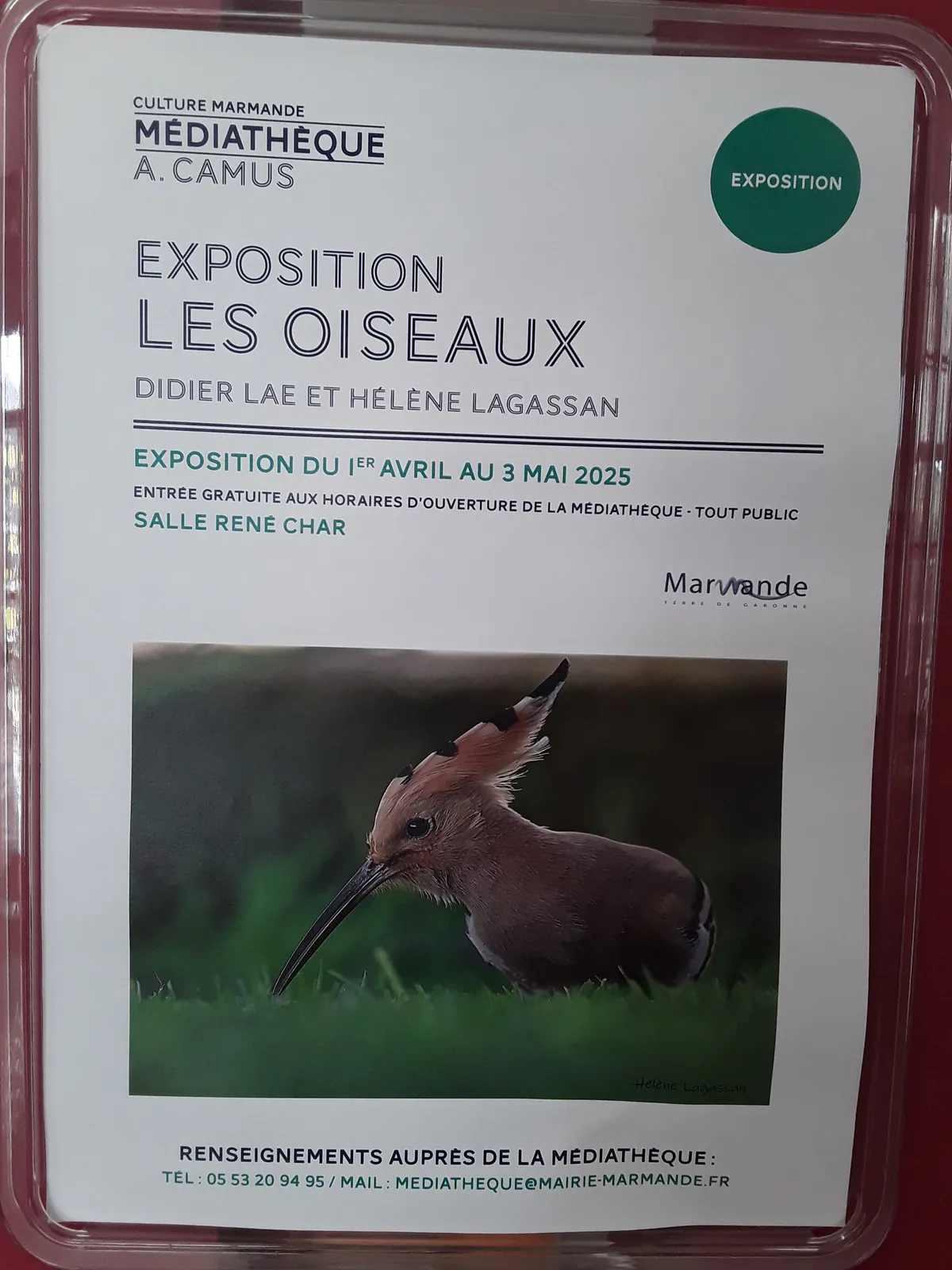 Sortie Médiathèque