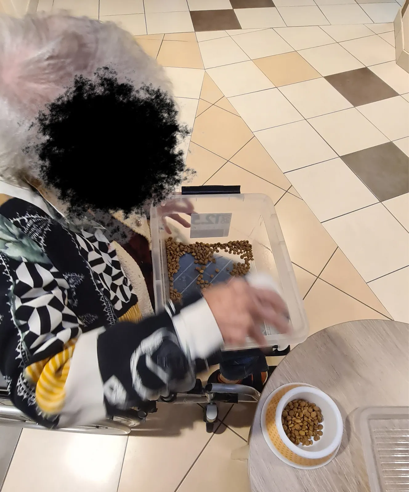 Moment de soin : nourrir les chats de la résidence