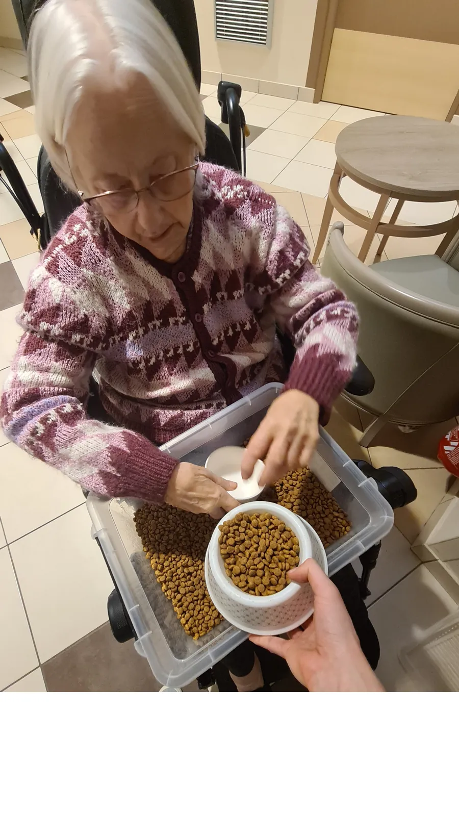 Moment de soin : nourrir les chats de la résidence