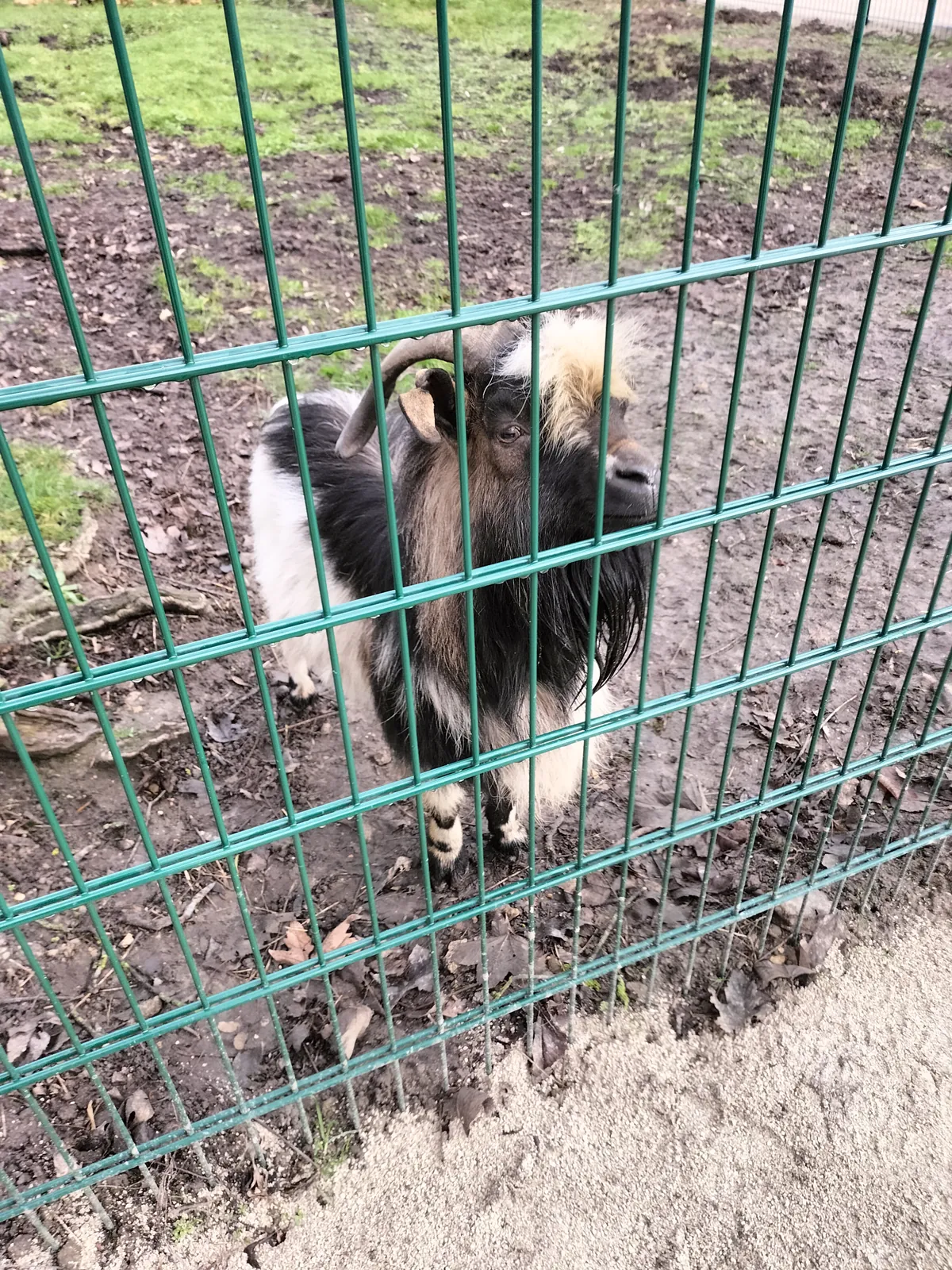Sortie au Parc Pierre 