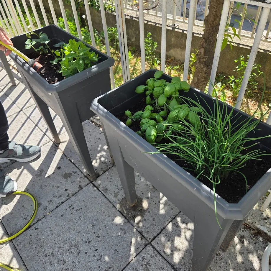 Un petit potager a été créé dans l’unité protégée.