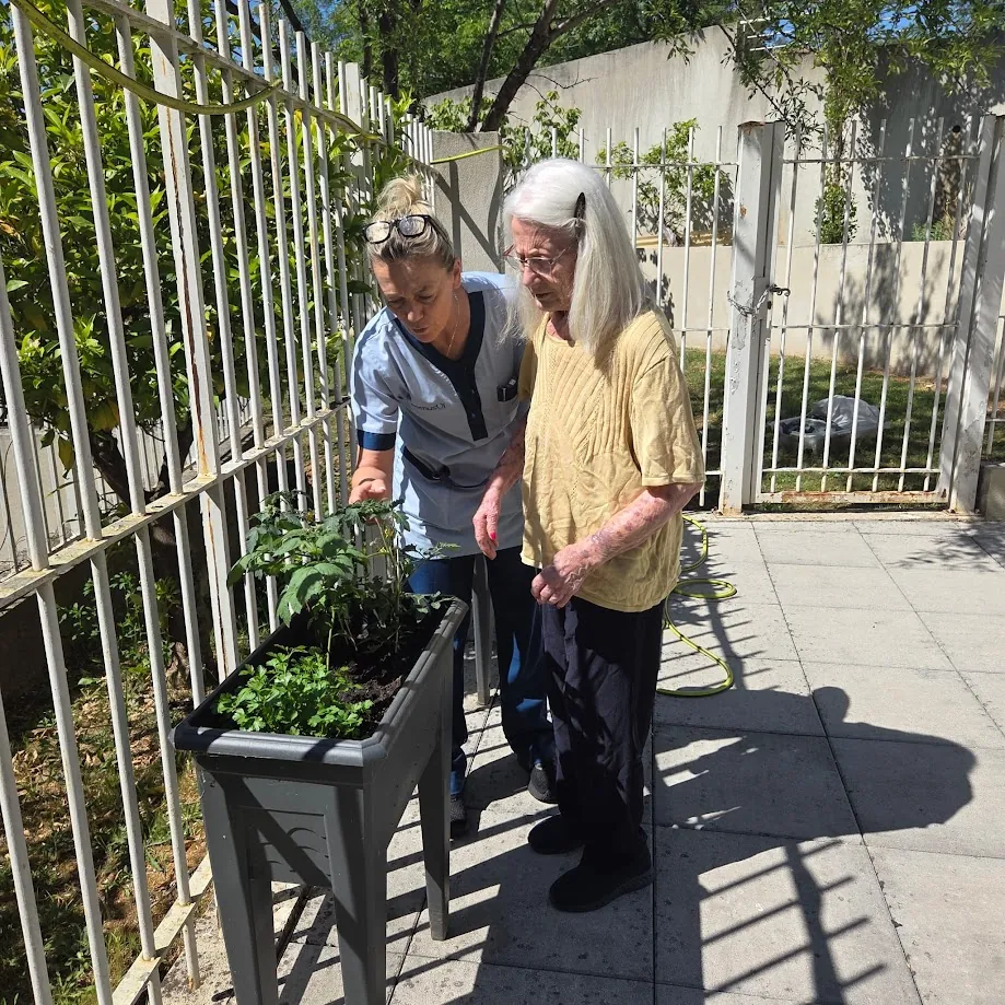 Un petit potager a été créé dans l’unité protégée.