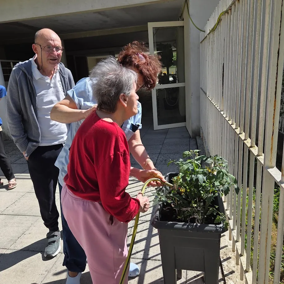 Un petit potager a été créé dans l’unité protégée.