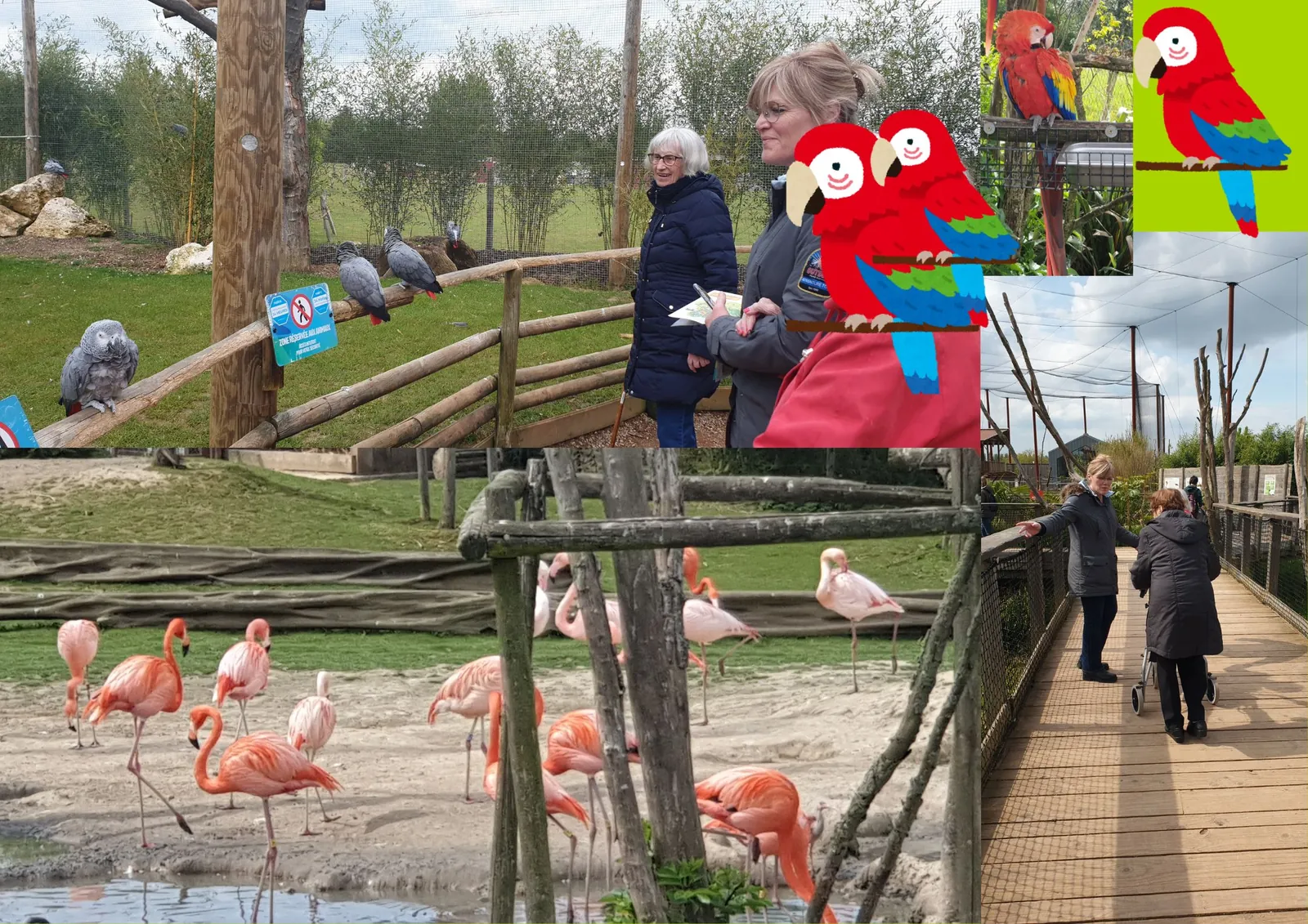 Sortie au Parrot Word 