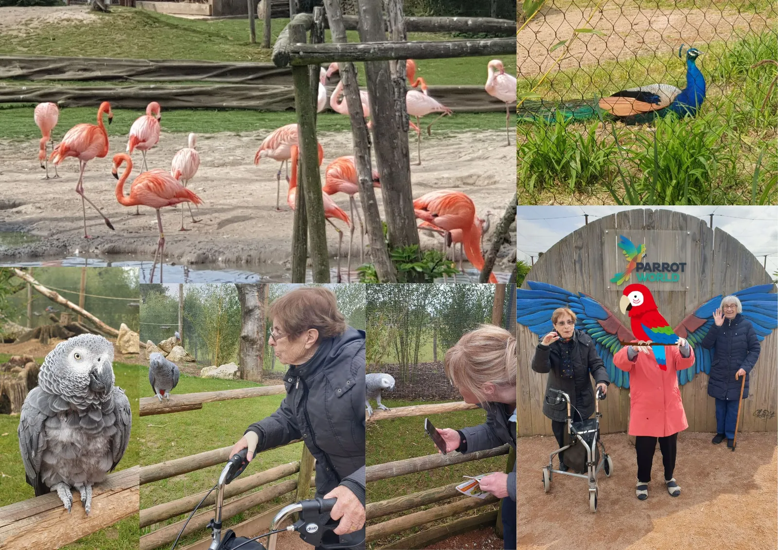 Sortie au Parrot Word 