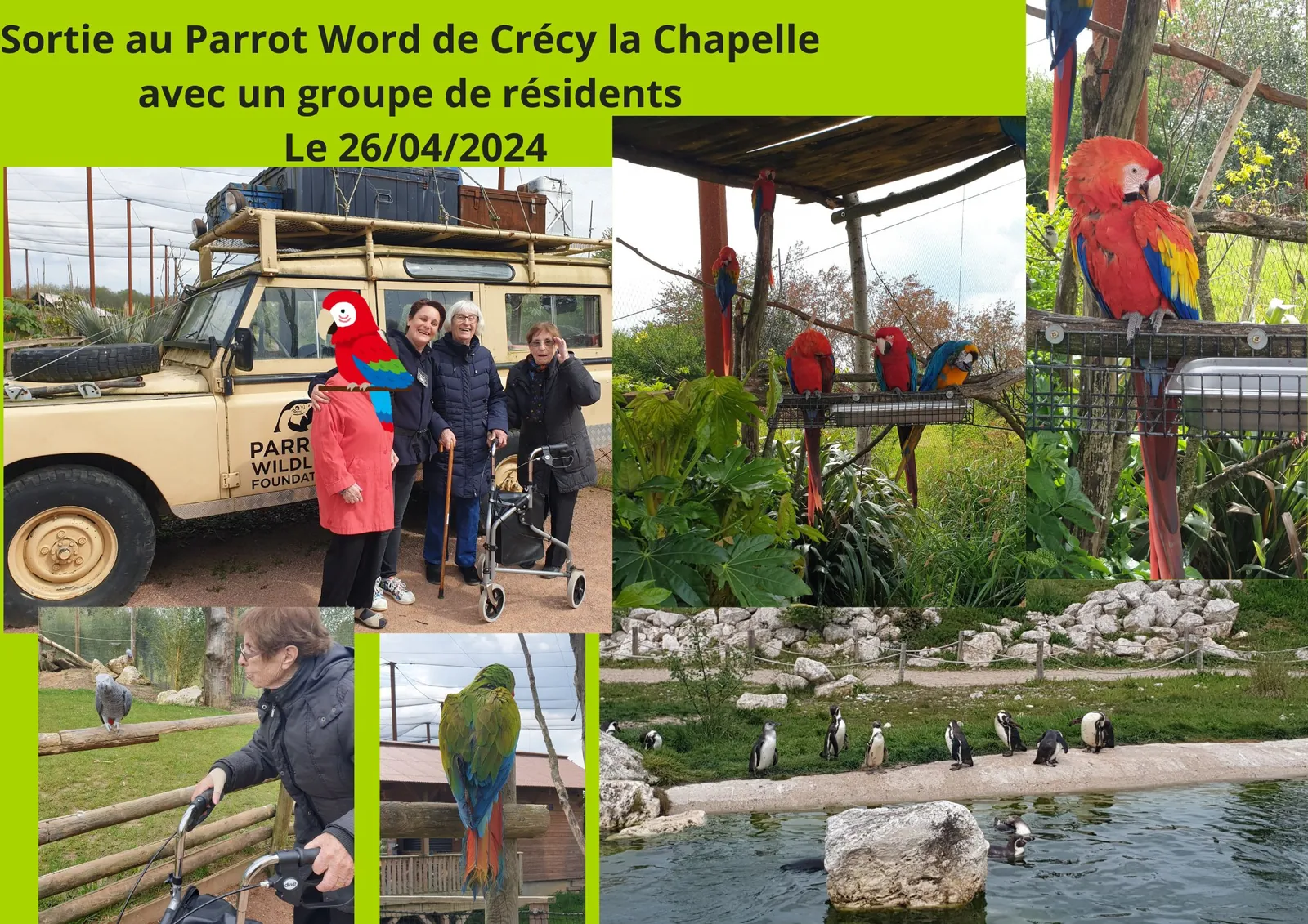 Sortie au Parrot Word 