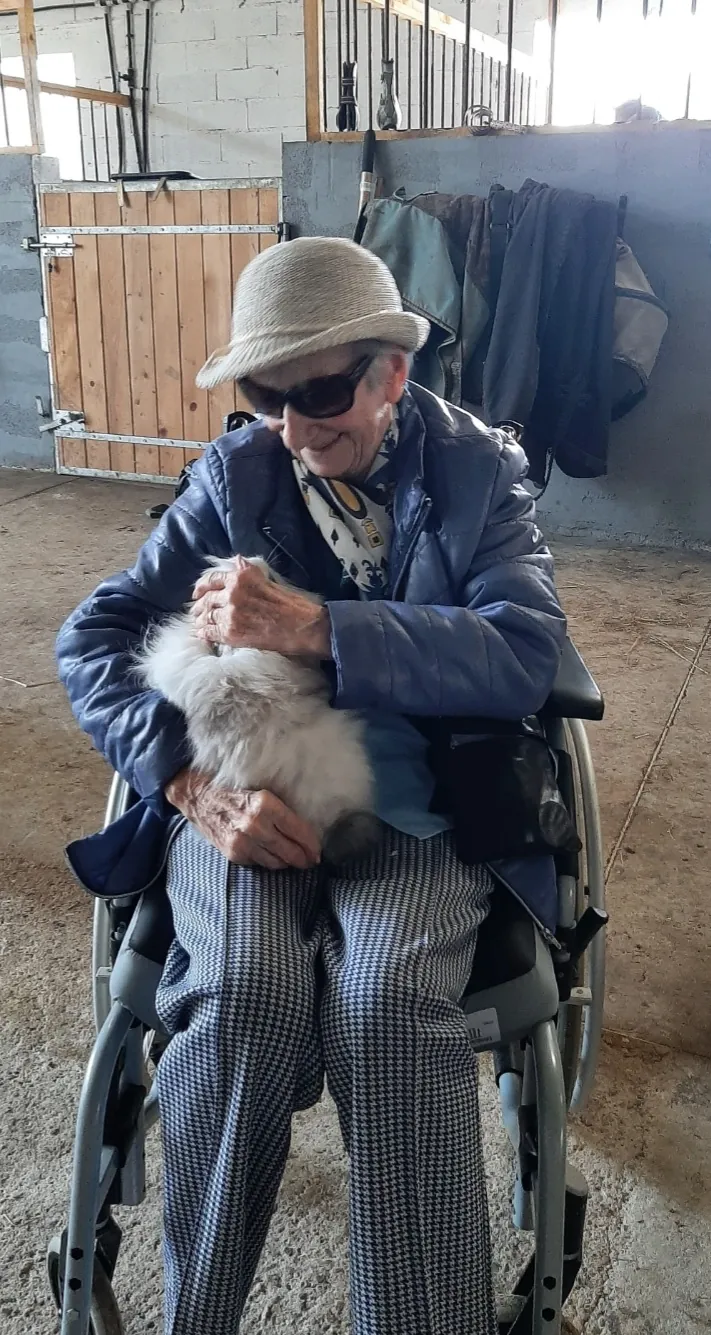 Un mardi après-midi toujours avec les animaux mais aux écuries