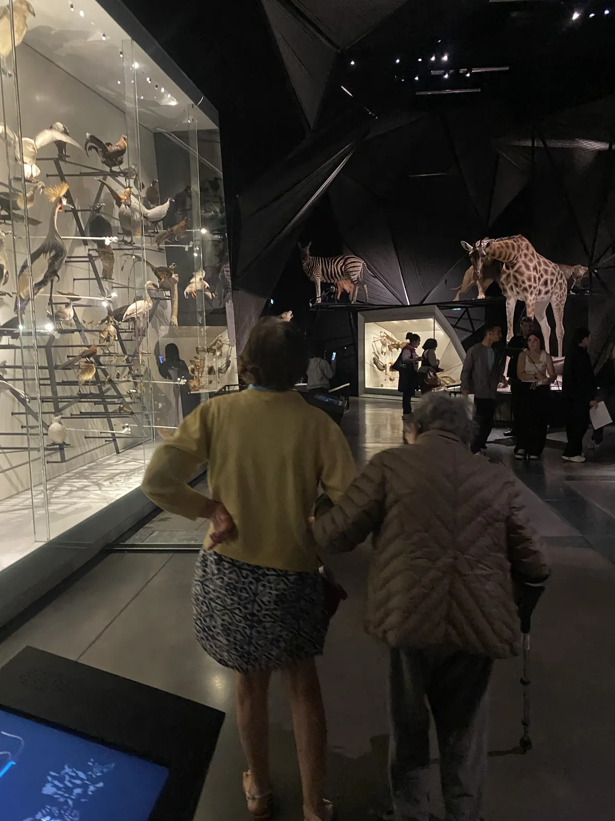 Une belle sortie au Musée des Confluences !