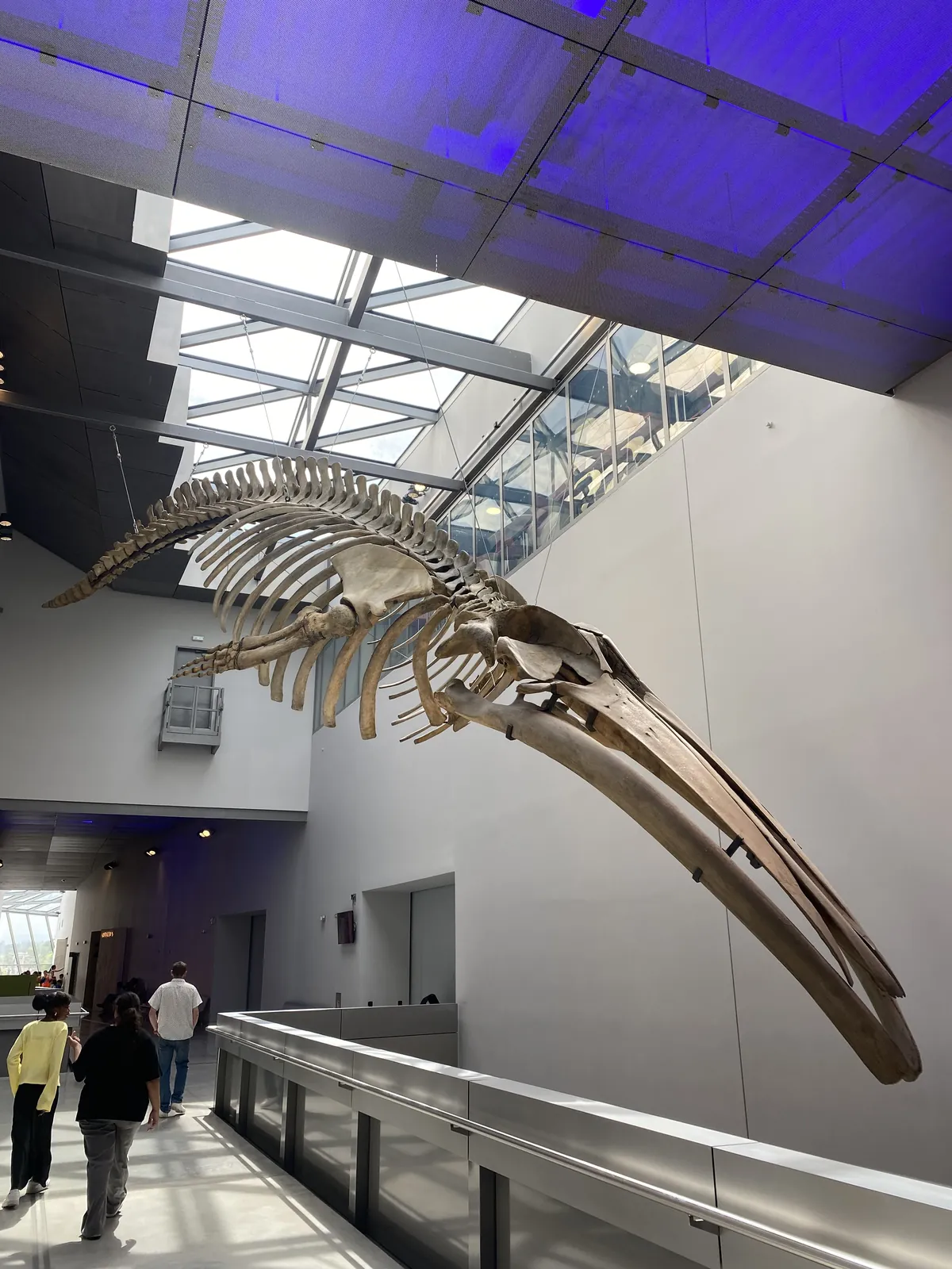 Une belle sortie au Musée des Confluences !