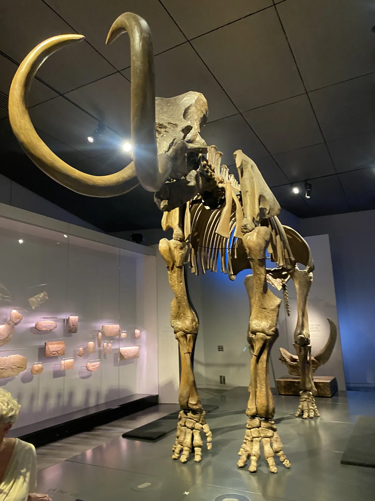 Une belle sortie au Musée des Confluences !