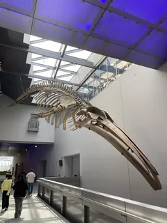 Une belle sortie au Musée des Confluences !