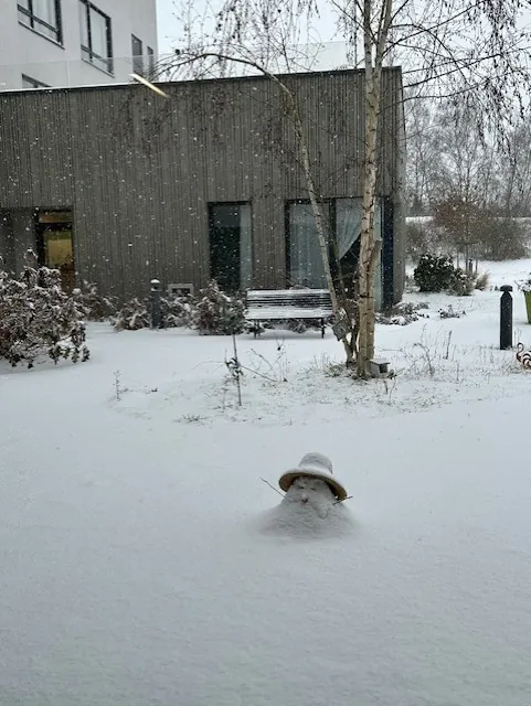 ?? Information – Épisode neigeux ??