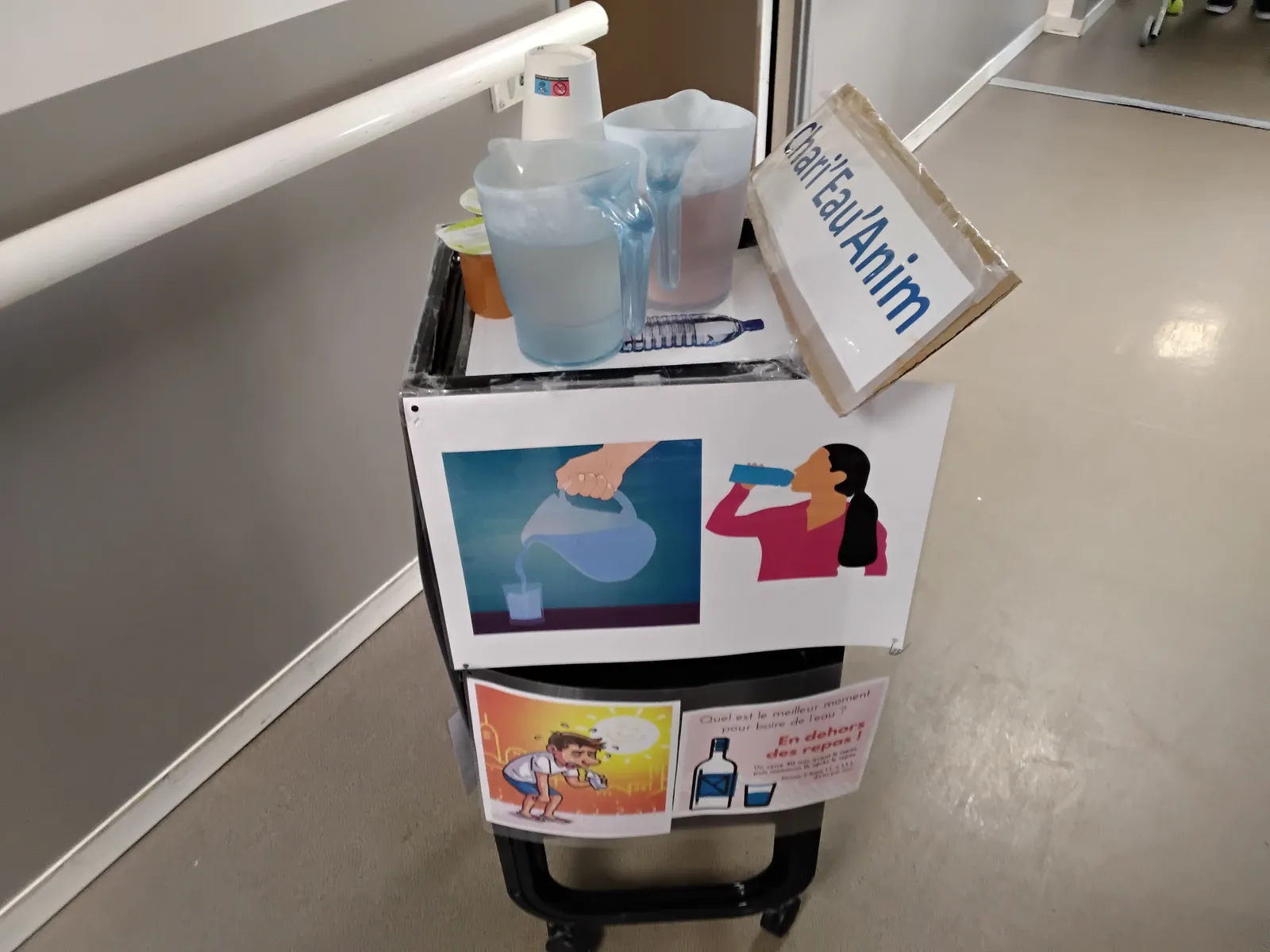 Chari'eau'Anim : Grande innovation de notre résidence
