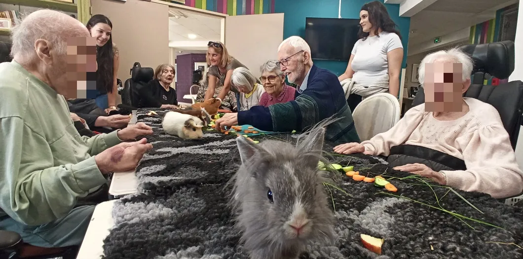 Séance de médiation animale à la résidence : un moment de douceur et de bien-être